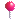Punaise